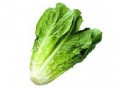 ENCIAM LLARG